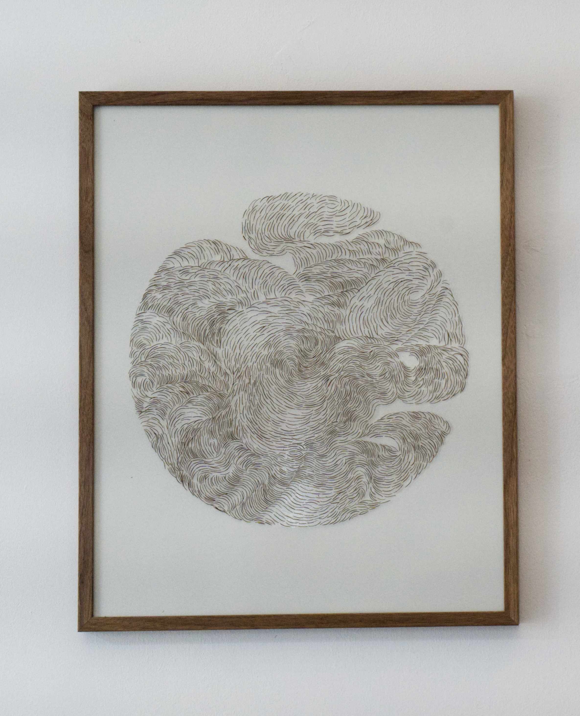 Pineneedle Drawing 10